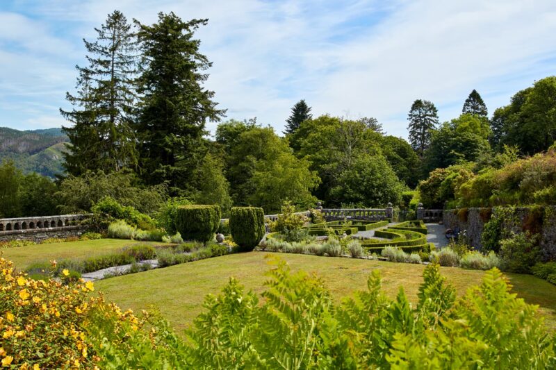 Penmaenuchaf gardens