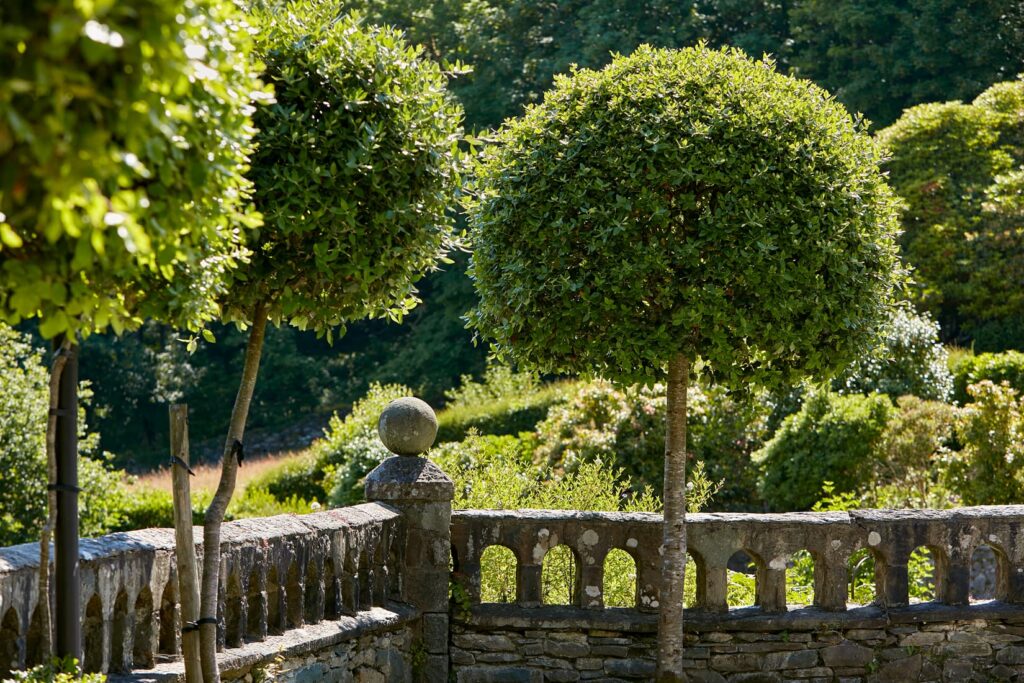 Gardens At Penmaenuchaf Hotel
