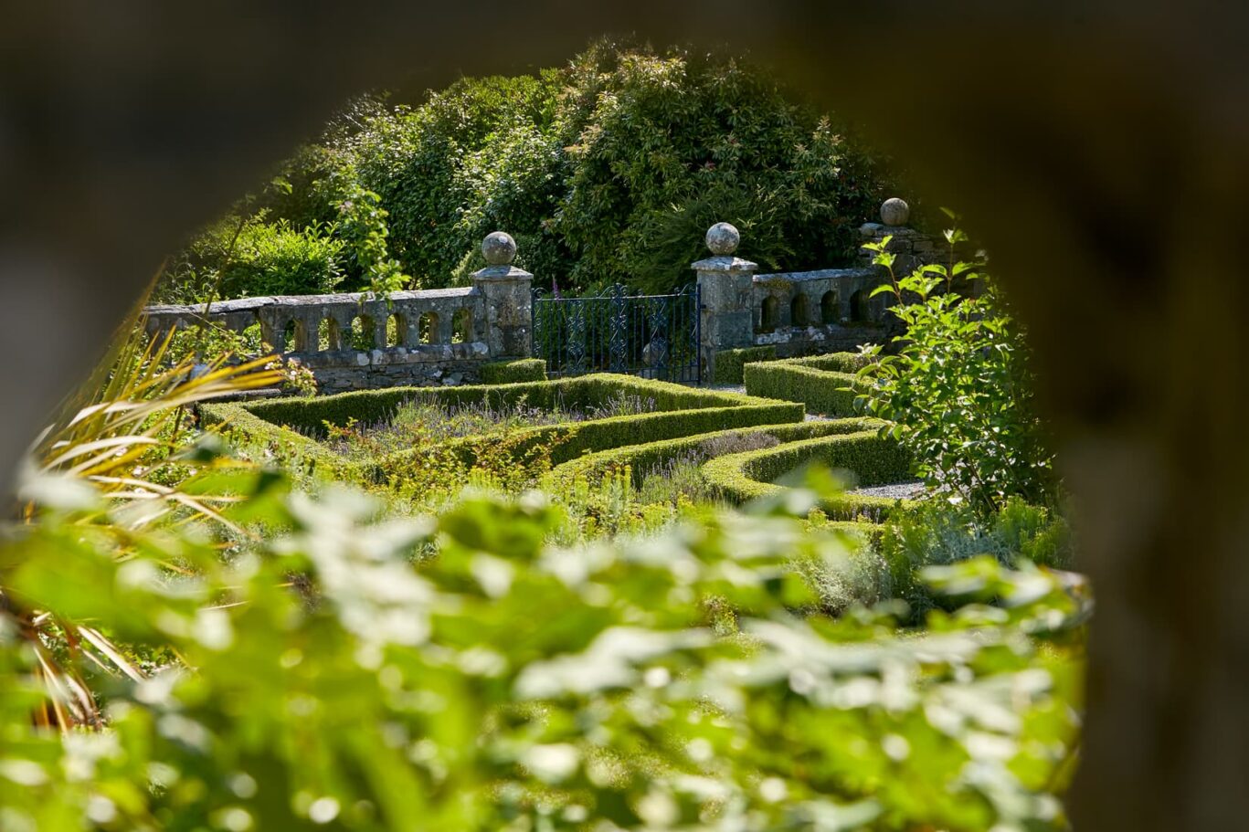 View Of The Gardens
