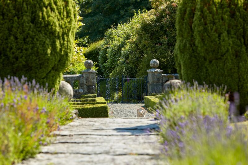 Penmaenuchaf Gardens