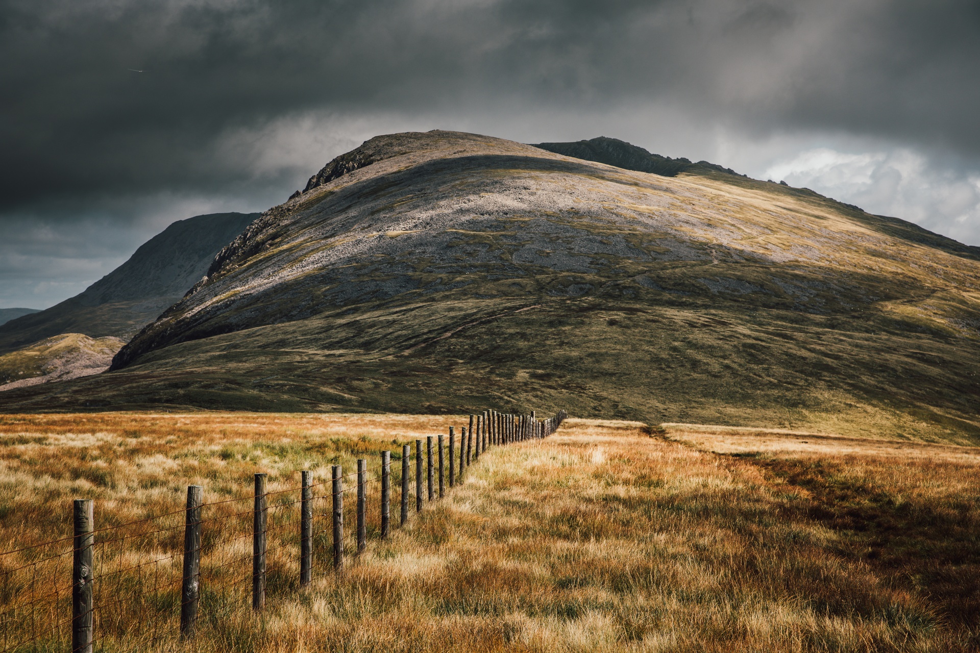 Cadair Idris (54)