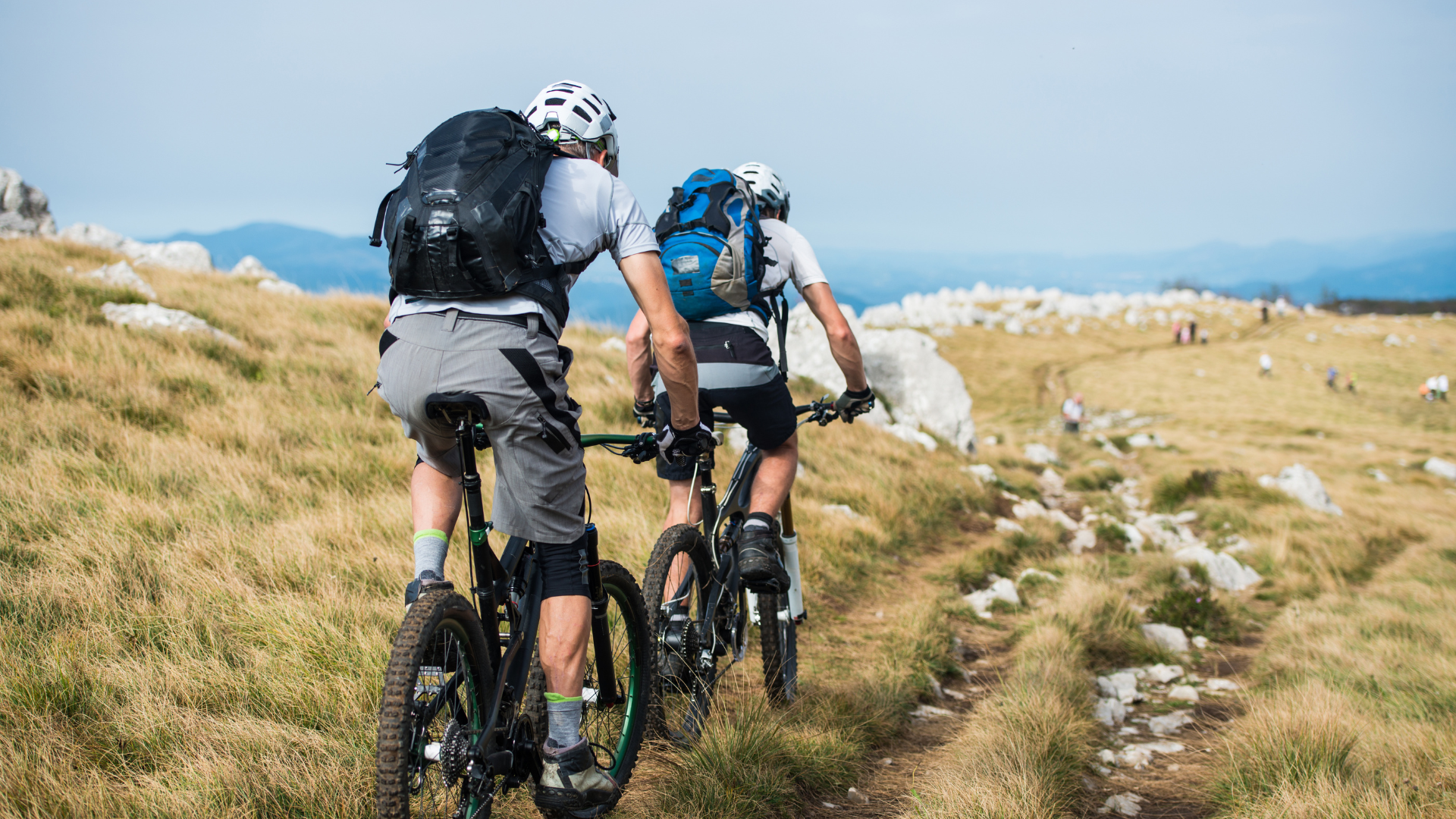 Guided mountain bike tours in Eryri (Snowdonia) National Park with Penmaenuchaf